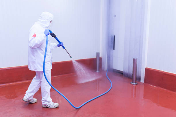 Boat and Dock Cleaning in Red Oak, TX
